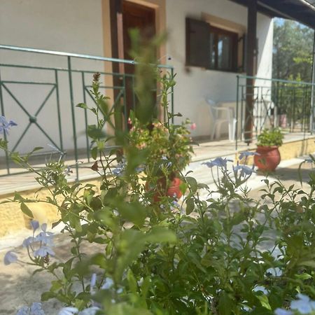 Apartamento Studio Savvas Melíkia Exterior foto