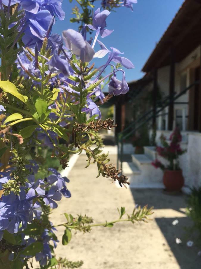 Apartamento Studio Savvas Melíkia Exterior foto